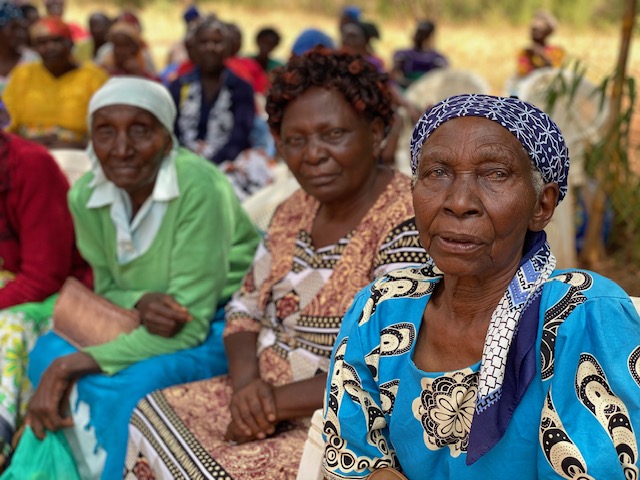 Witwen & Waisen – Bild 1